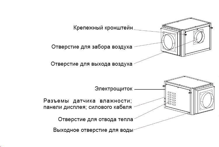 Par-Tuman PT-K-50 - изображение 2